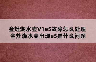 金灶烧水壶V1e5故障怎么处理 金灶烧水壶出现e5是什么问题